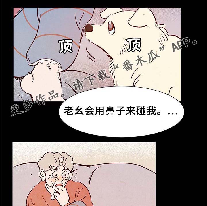 寻鳞之旅漫画,第37章：灵魂召唤1图