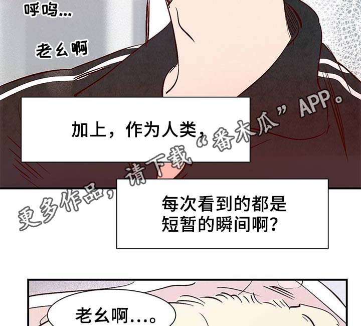 寻鳞之旅漫画,第36章：面对死亡2图
