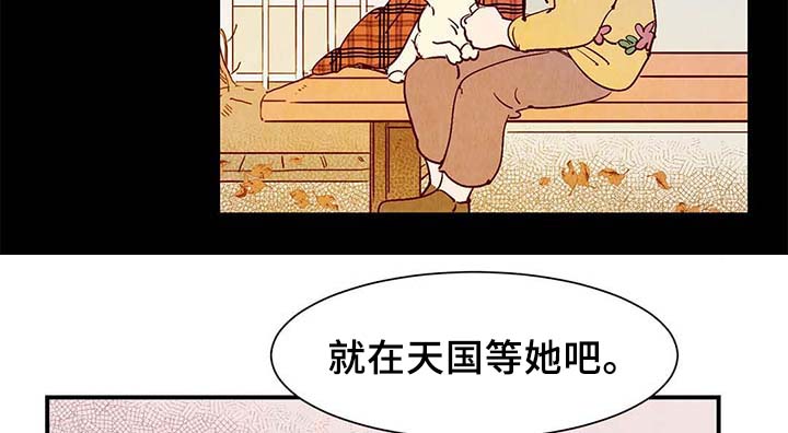寻鳞之旅漫画,第40章：老幺的故事3图