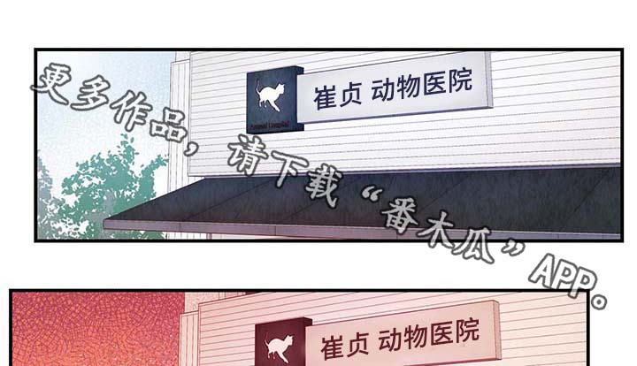寻鳞之旅漫画,第30章：电梯1图