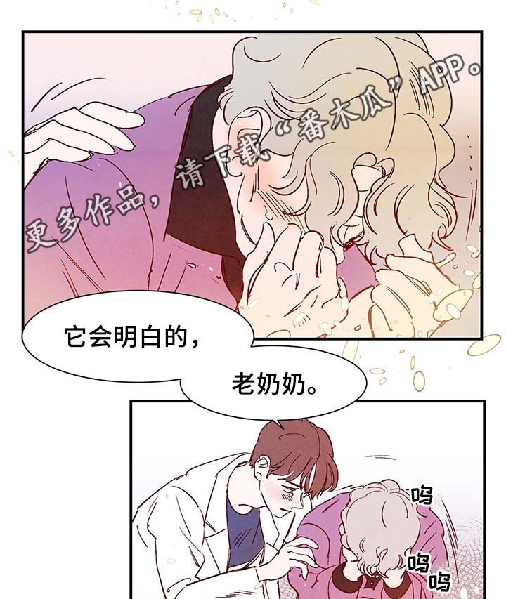 寻鳞之旅漫画,第39章：上路2图