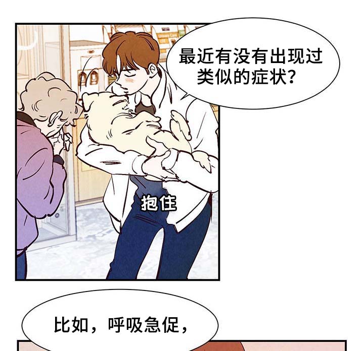 寻鳞之旅漫画,第36章：面对死亡2图
