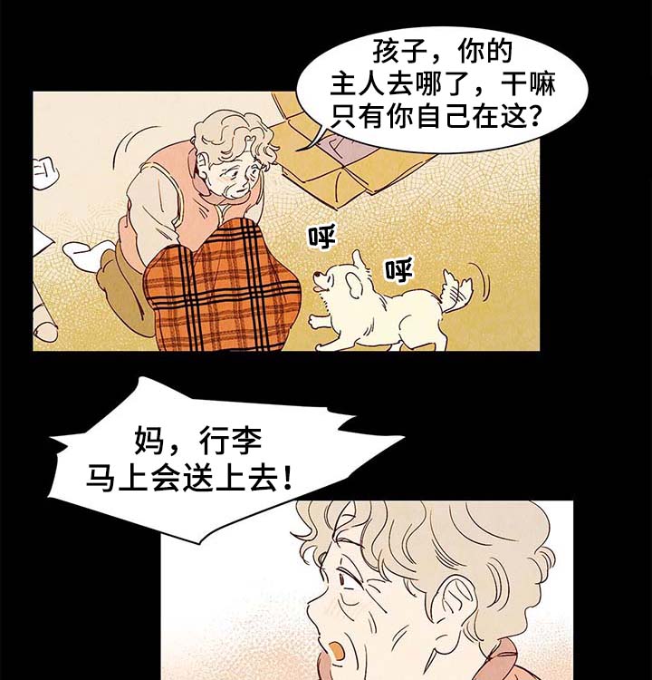 寻鳞之旅漫画,第40章：老幺的故事2图