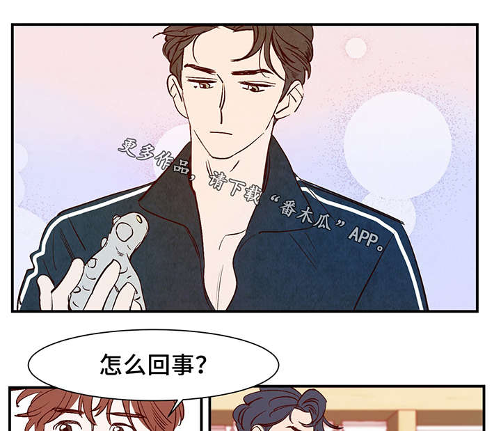 寻鳞之旅漫画,第27章：喜欢上了吗？1图