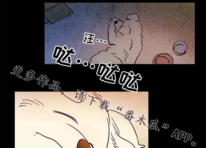 寻鳞之旅漫画,第40章：老幺的故事4图