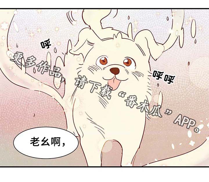 寻鳞之旅漫画,第39章：上路1图