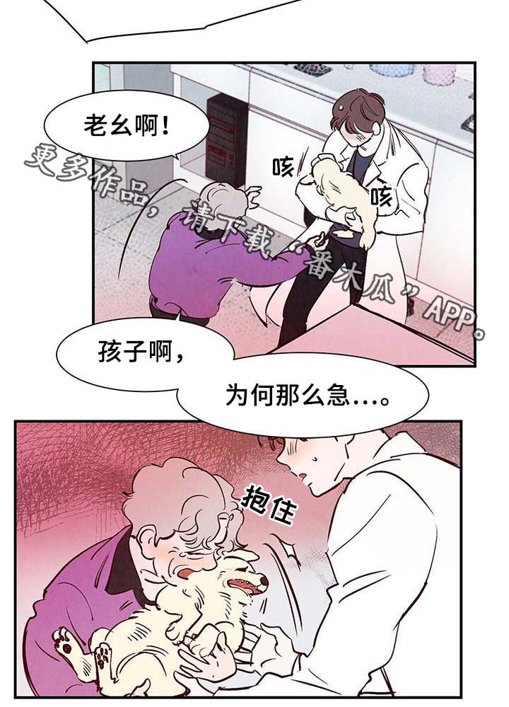 寻鳞之旅漫画,第37章：灵魂召唤5图