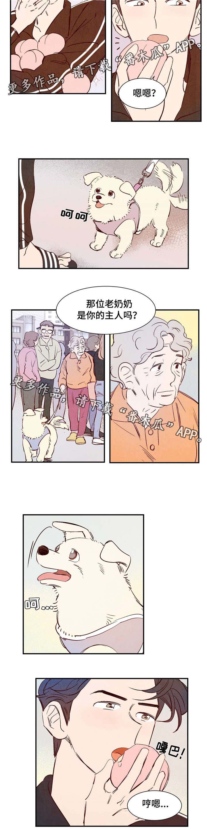 寻鳞之旅漫画,第8章：有话要说4图