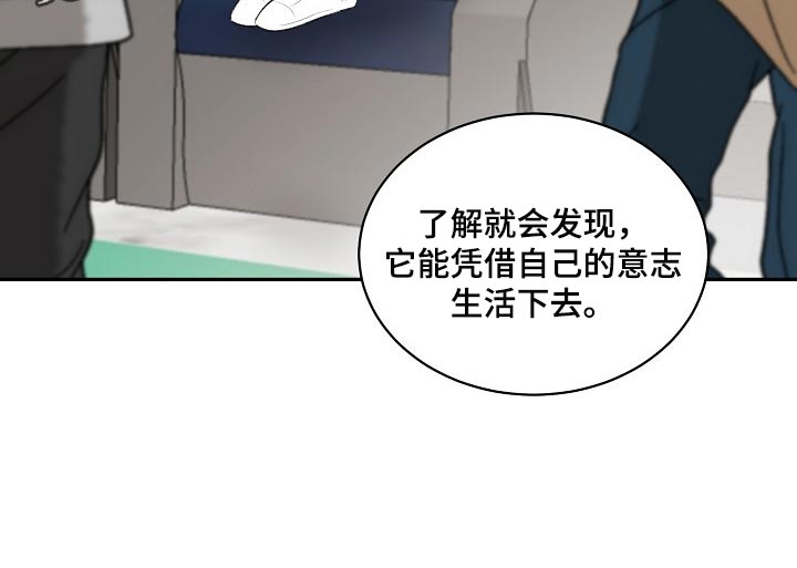 老板不可以漫画,第86章：【第二季】有缺陷的人5图