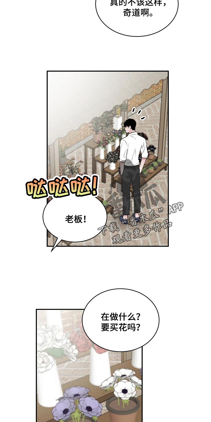老板不可以漫画,第87章：【第二季】仙人掌2图