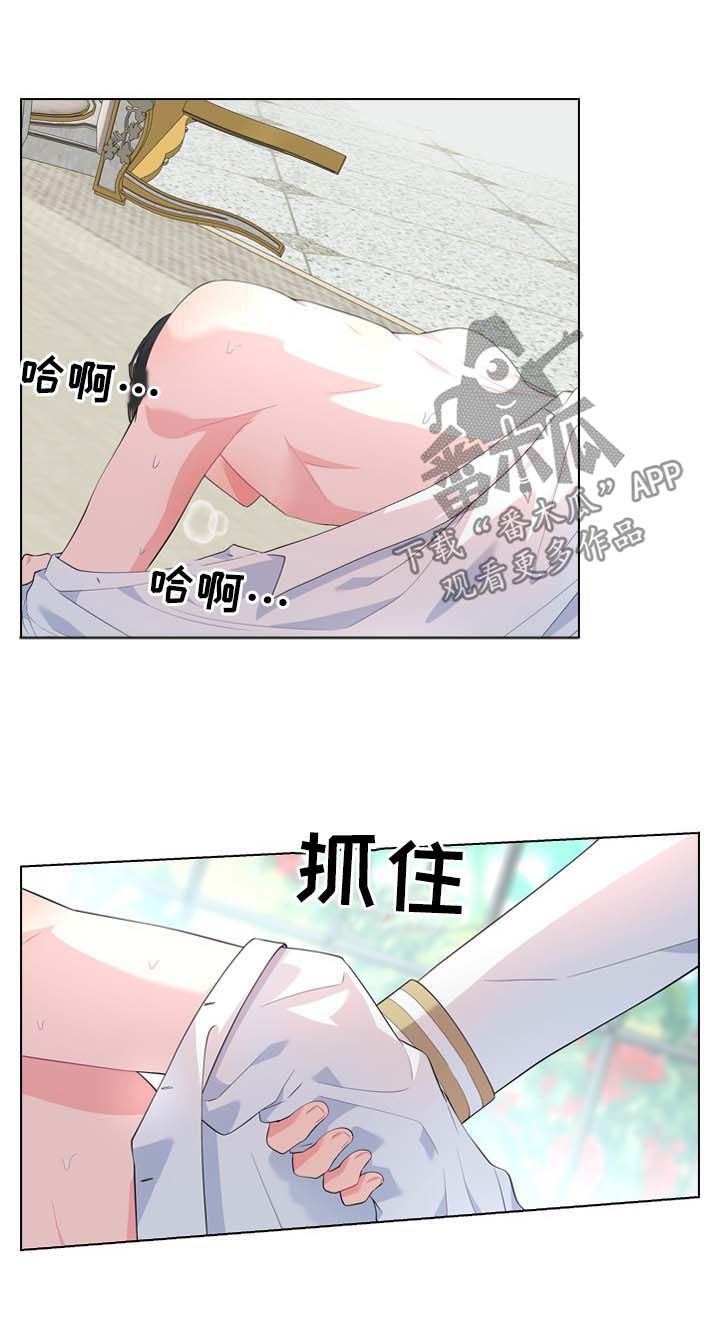 皇室血脉漫画,第27章：刚开始1图