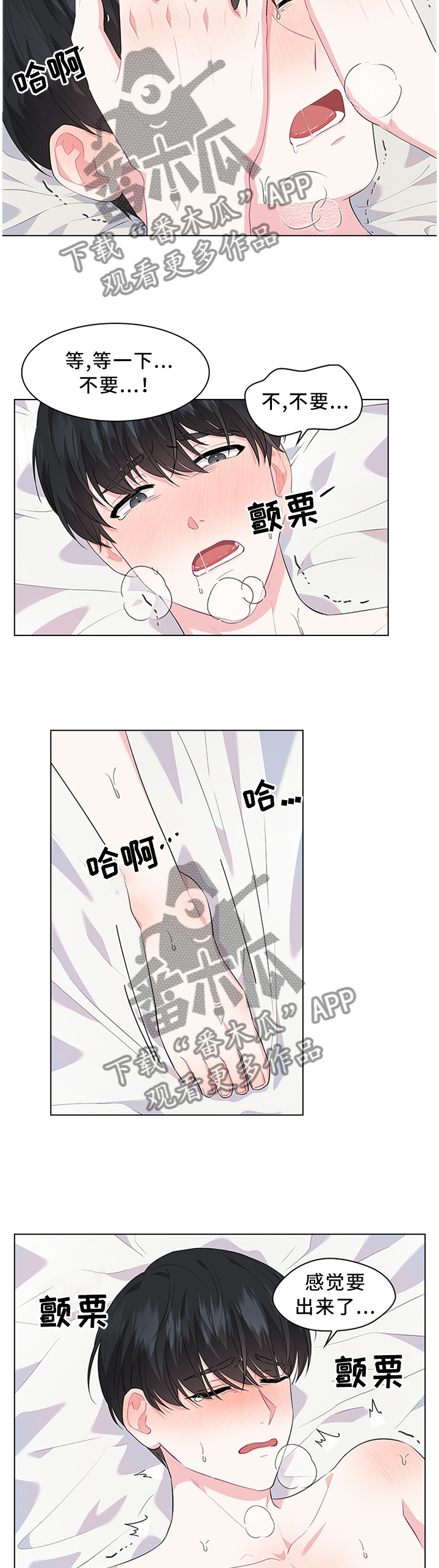 皇室血脉漫画,第36章：不要吵醒他2图