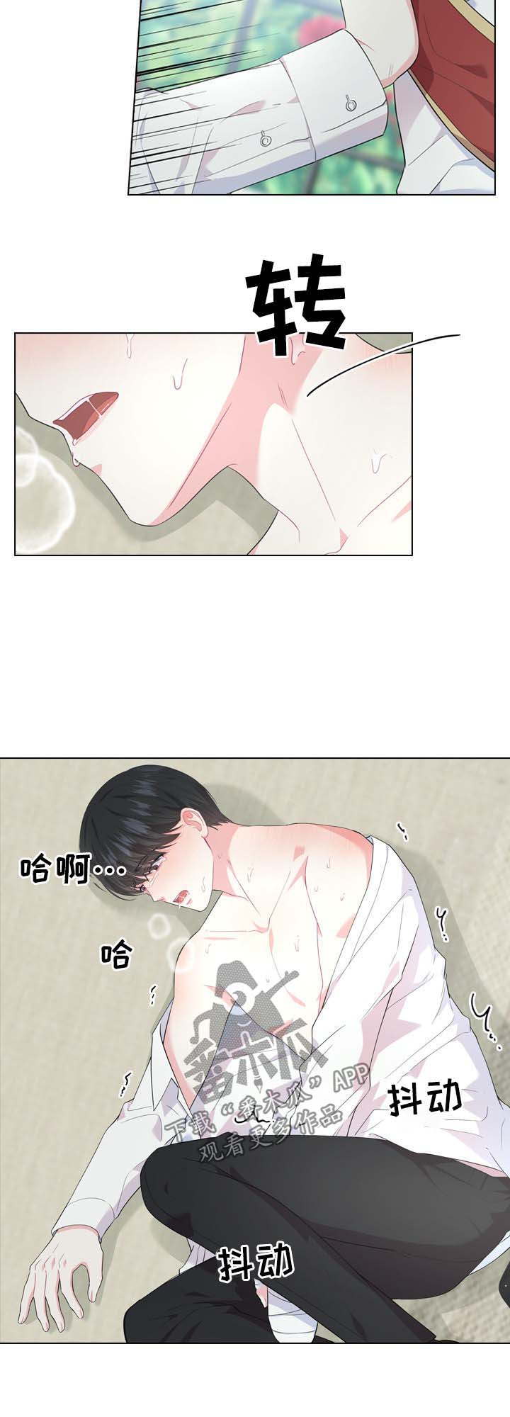 皇室血脉漫画视频漫画,第27章：刚开始1图