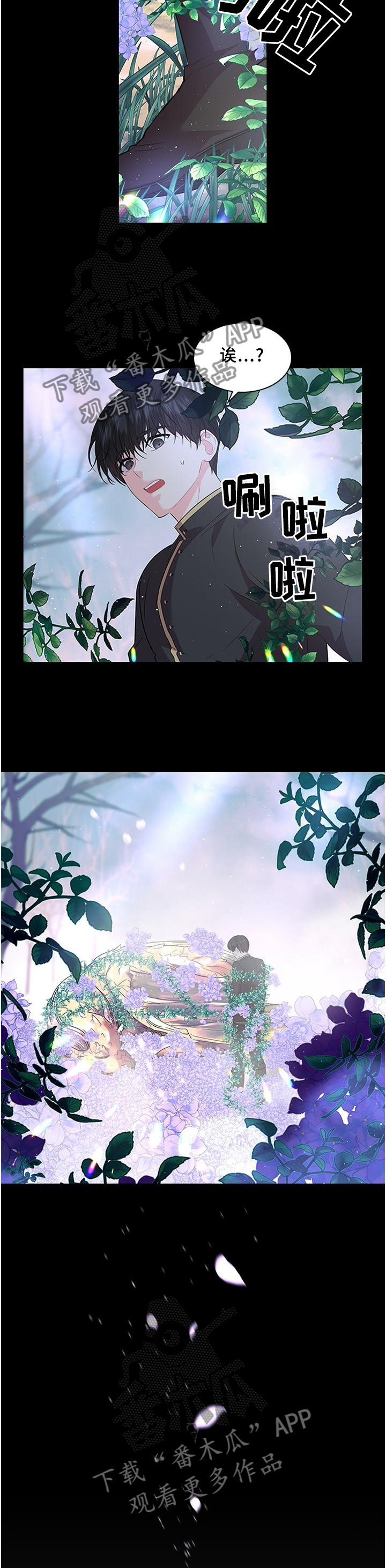 皇室血脉漫画,第76章：孩子是我的3图