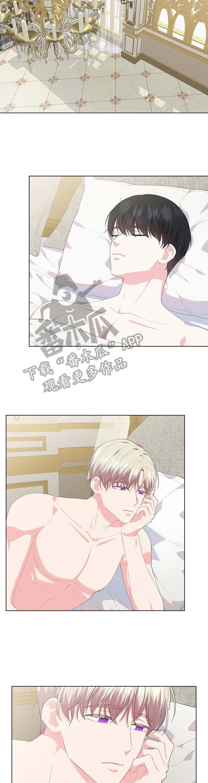 皇室血脉漫画,第41章：喜欢2图