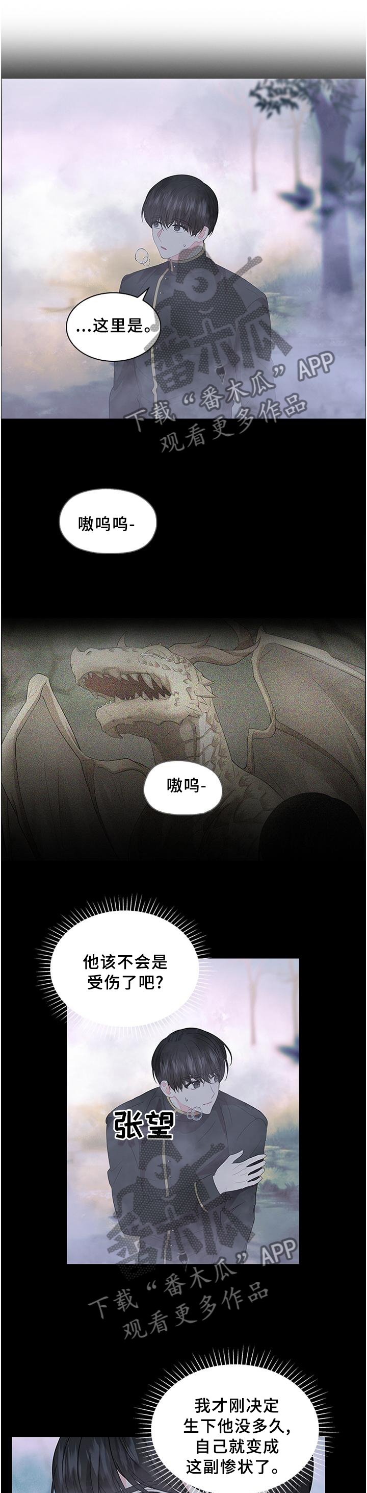 皇室血脉漫画,第76章：孩子是我的5图