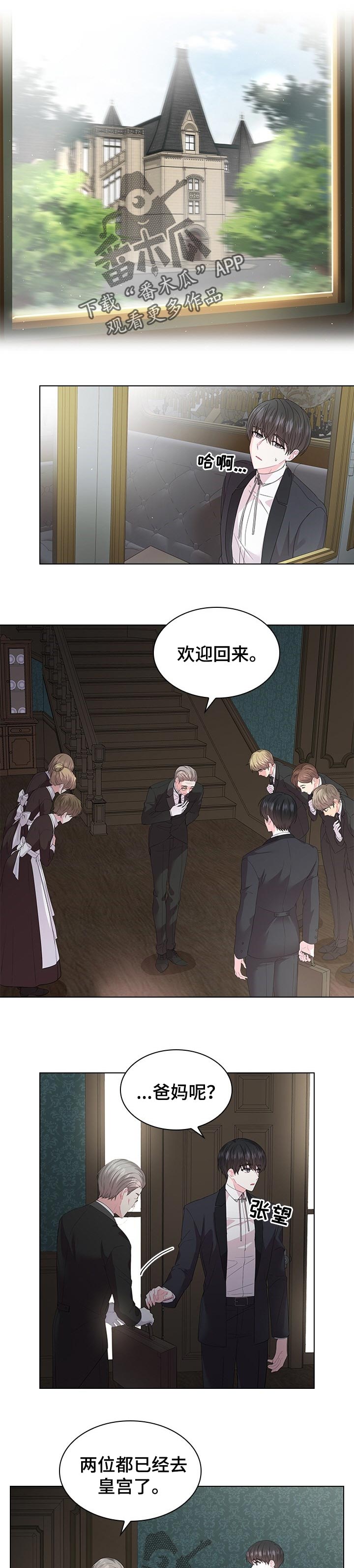 皇室血脉的明星有哪些漫画,第86章：成婚的消息2图