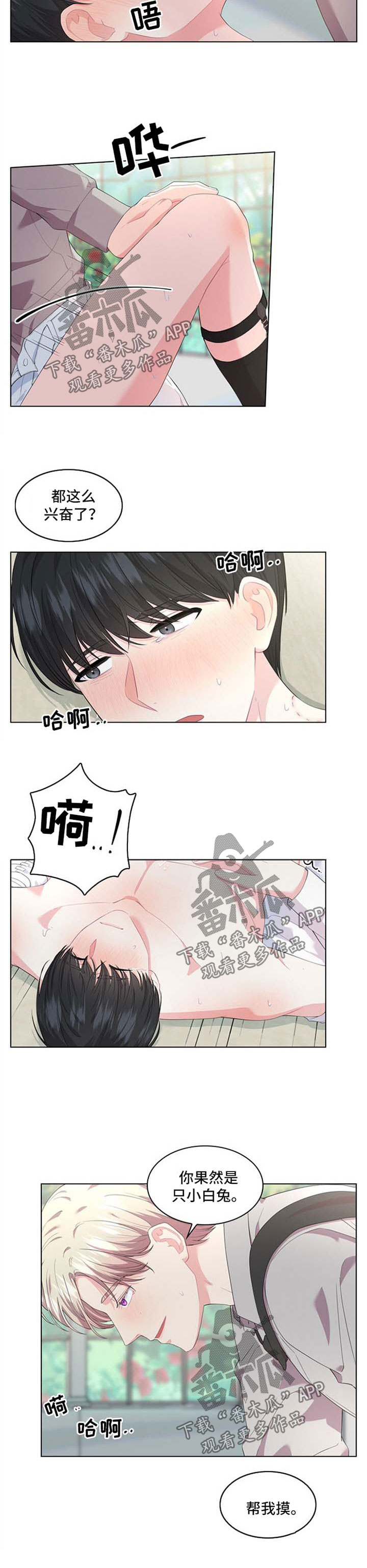 皇室血脉漫画,第29章：迷药2图