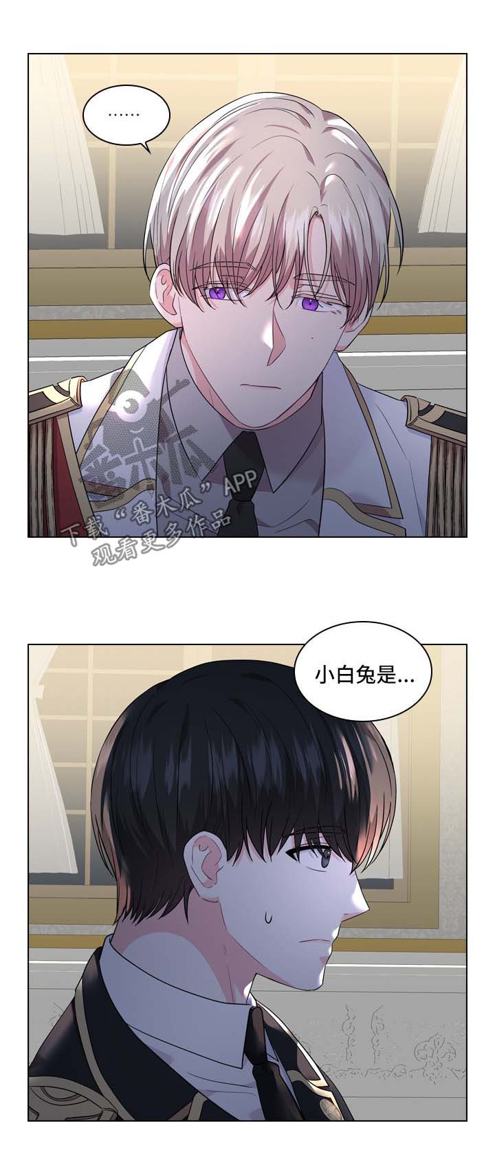 皇室血脉漫画下拉式漫画,第31章：小白兔是谁2图