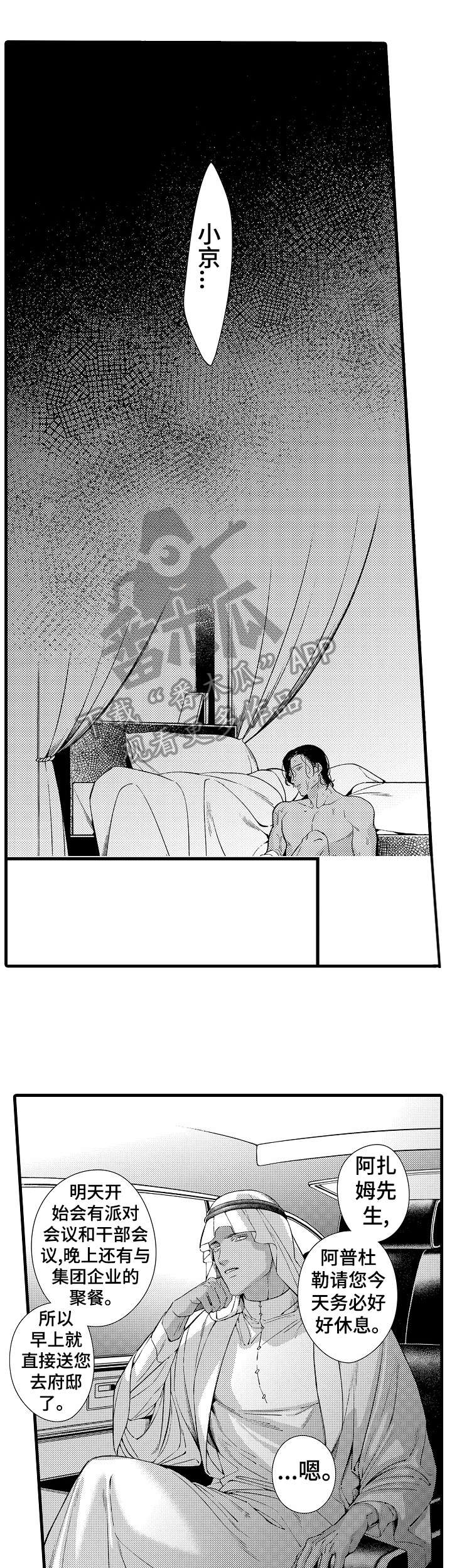 安拉的英语漫画,第23章：迪拜1图