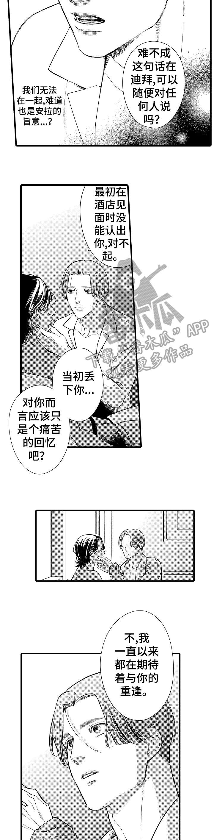 安拉简介漫画,第20章：开心1图
