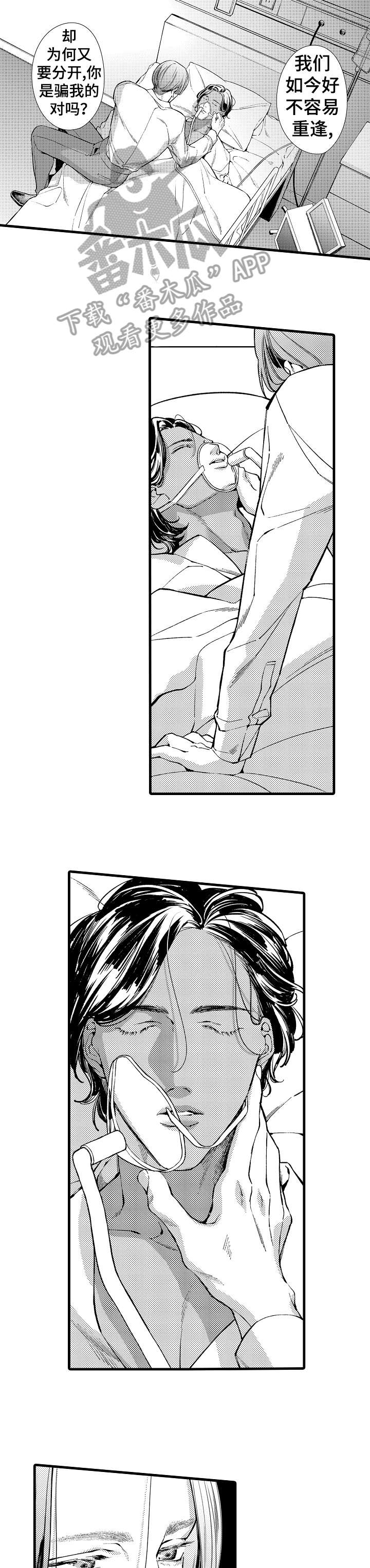 安拉的旨意漫画,第17章：遇刺5图