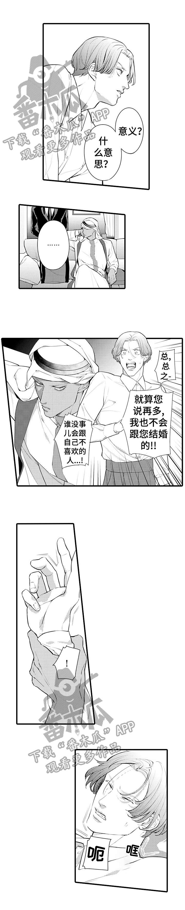 安拉的旨意漫画,第3章：软禁4图