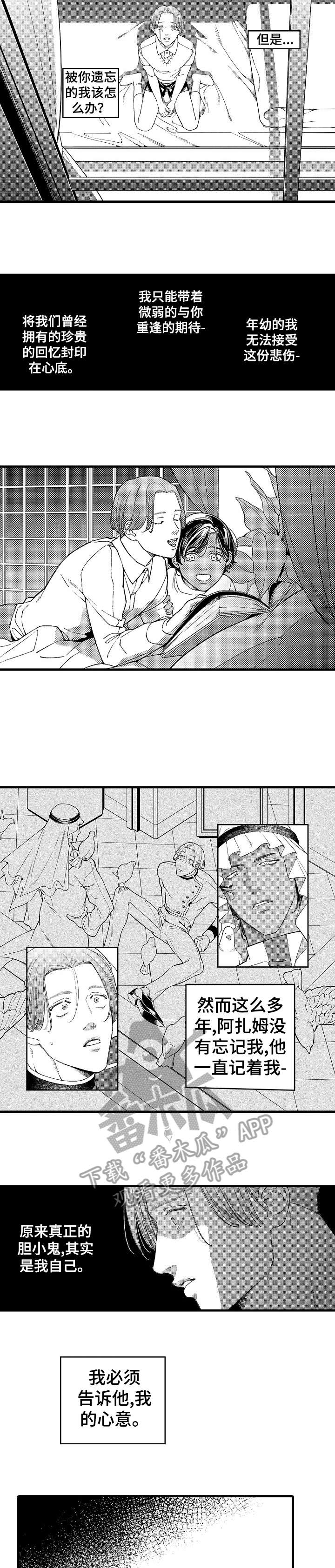 安拉简介漫画,第17章：遇刺2图