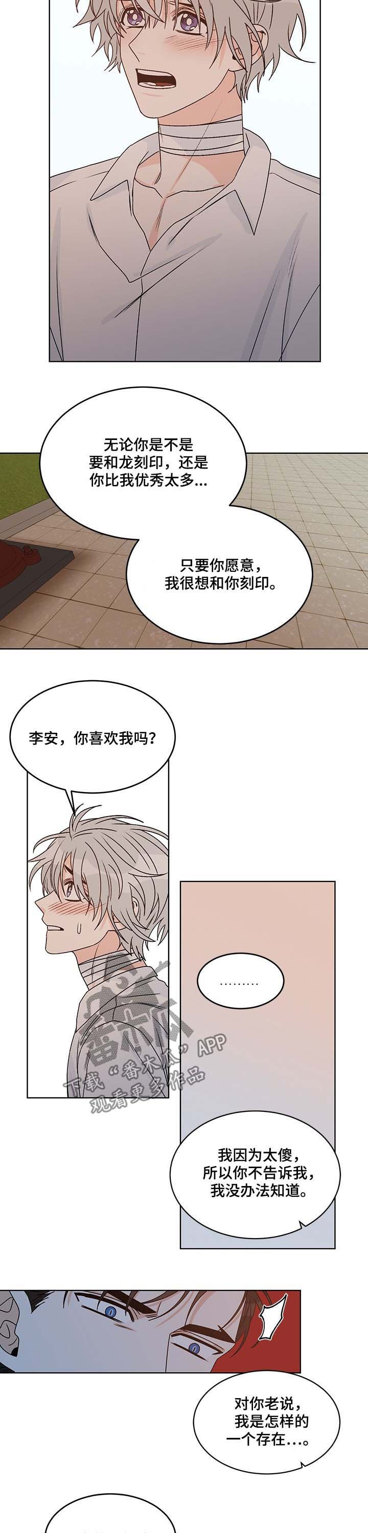 龙的刻印漫画,第65章：互相喜欢2图
