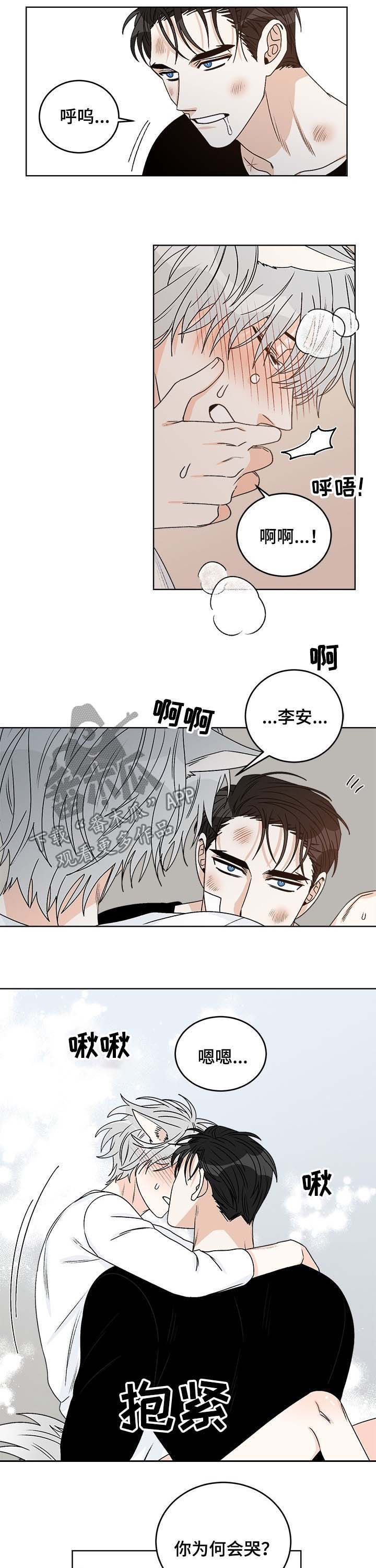 龙的刻印漫画,第56章：你为何会哭2图