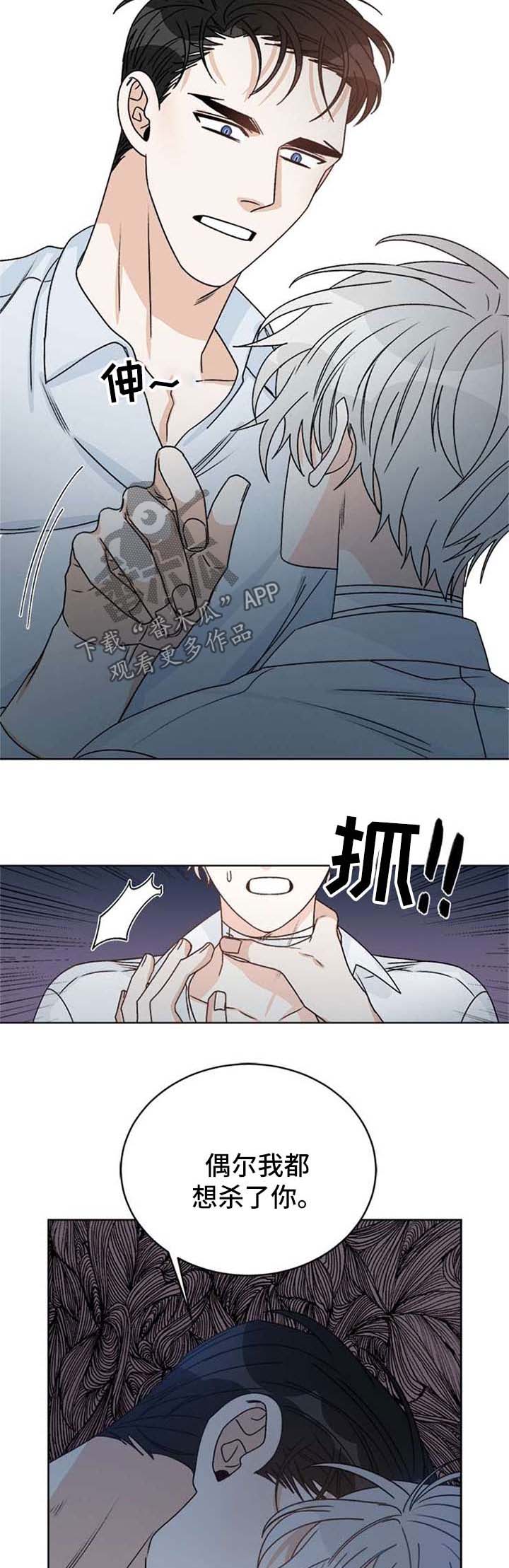 龙的刻印漫画图片漫画,第51章：可能会后悔的决定1图