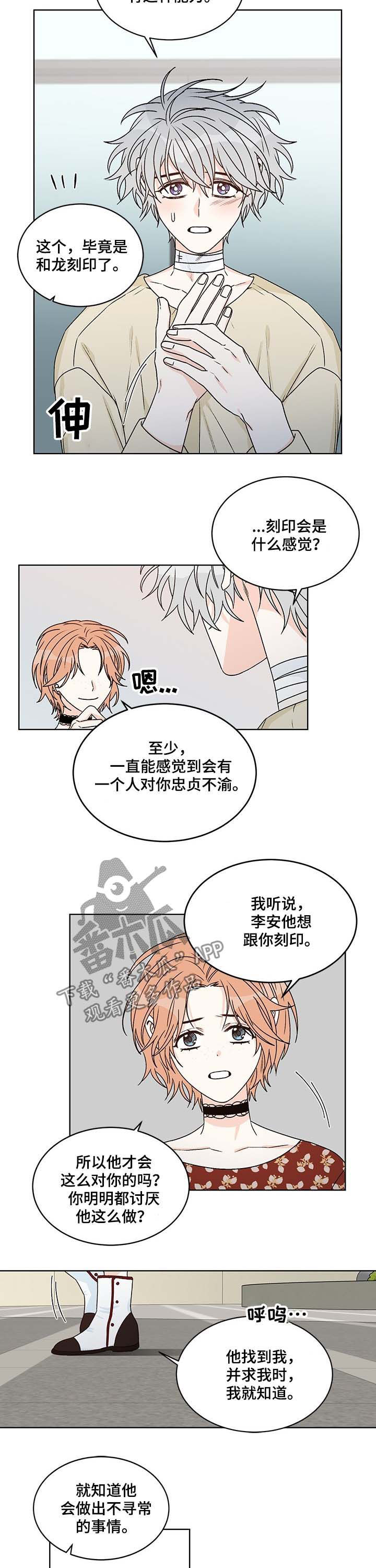 龙的刻印漫画,第64章：酒店2图