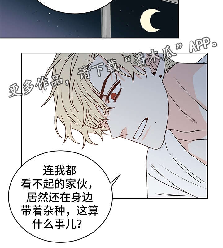 龙的刻印漫画,第40章：吸血3图