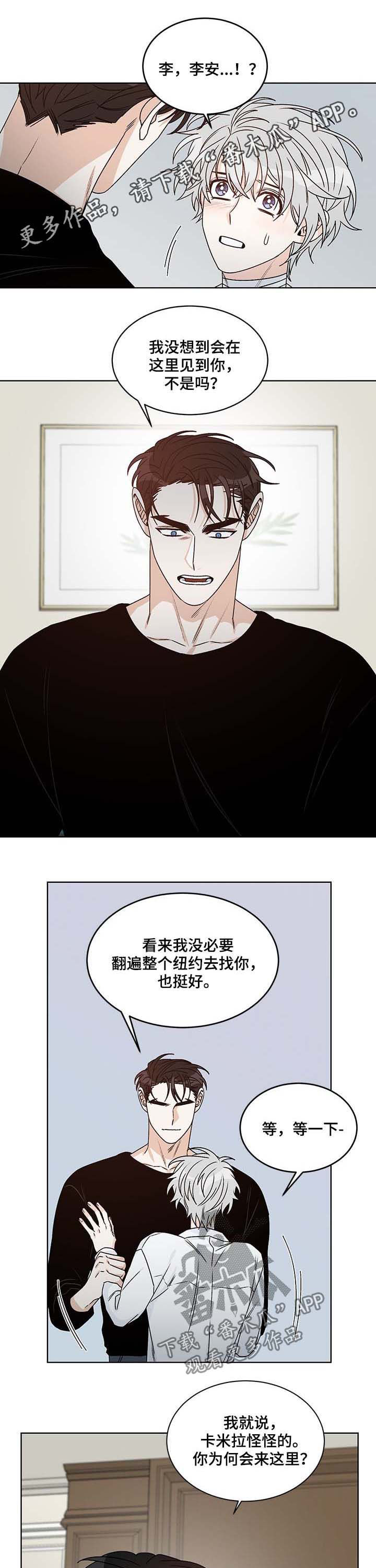 龙的刻印漫画,第65章：互相喜欢1图