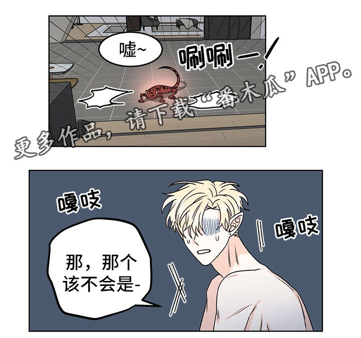 龙的刻印漫画奇妙漫画漫画,第40章：吸血3图