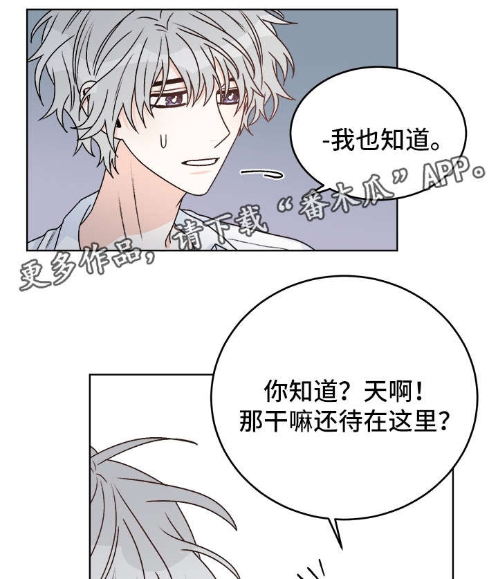 龙的刻印第10章漫画,第37章：照顾4图