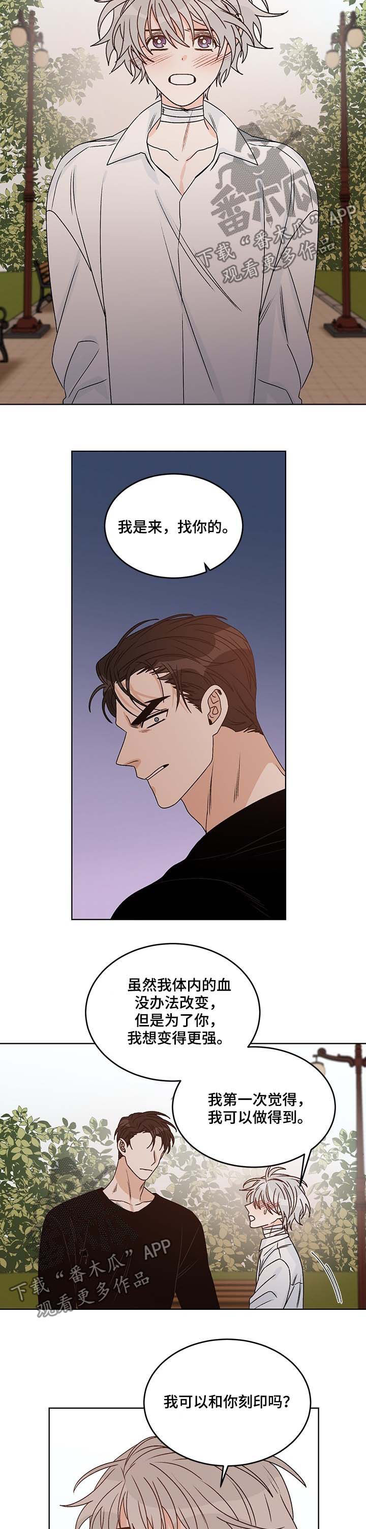 龙的刻印漫画,第65章：互相喜欢1图