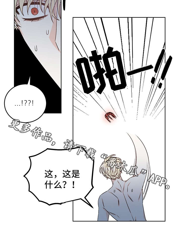 龙的刻印漫画奇妙漫画漫画,第40章：吸血2图