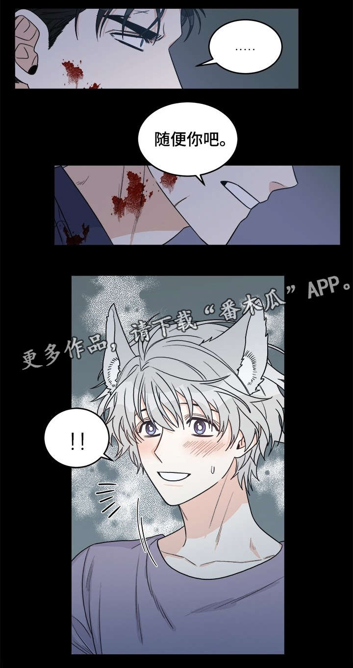 龙的刻印漫画,第13章：龙血5图