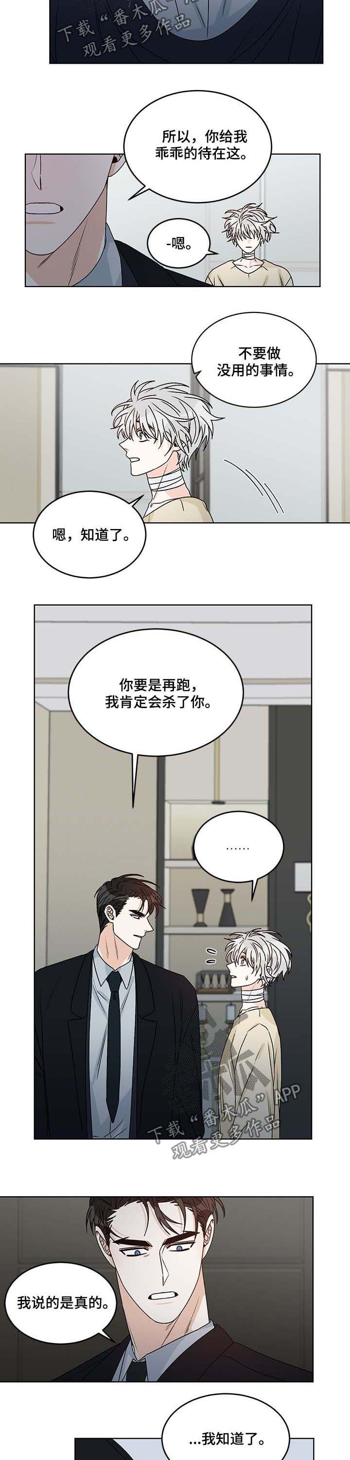 龙的刻印漫画,第63章：合力2图