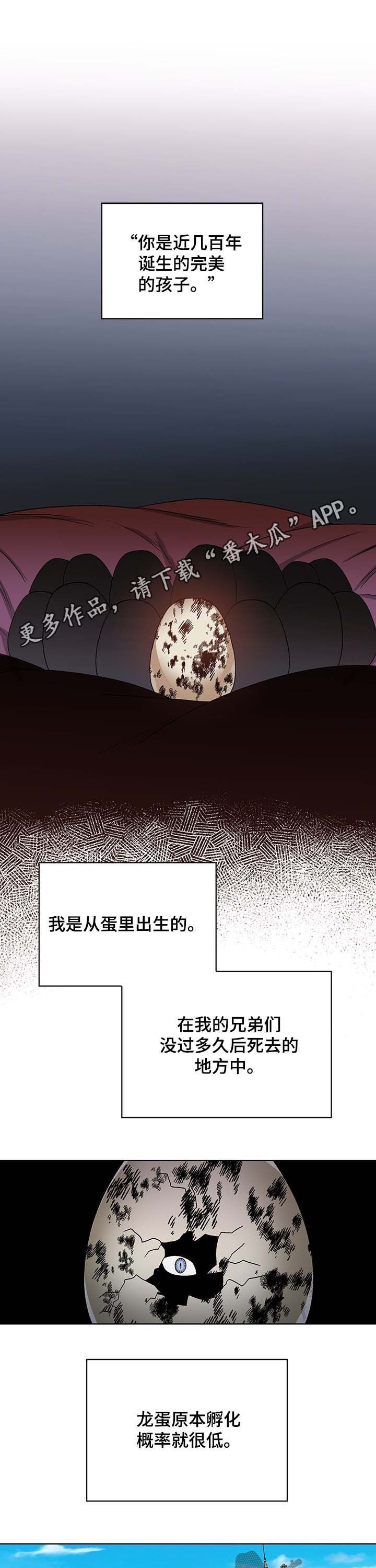 龙的刻印漫画,第54章：没有意义的家庭1图