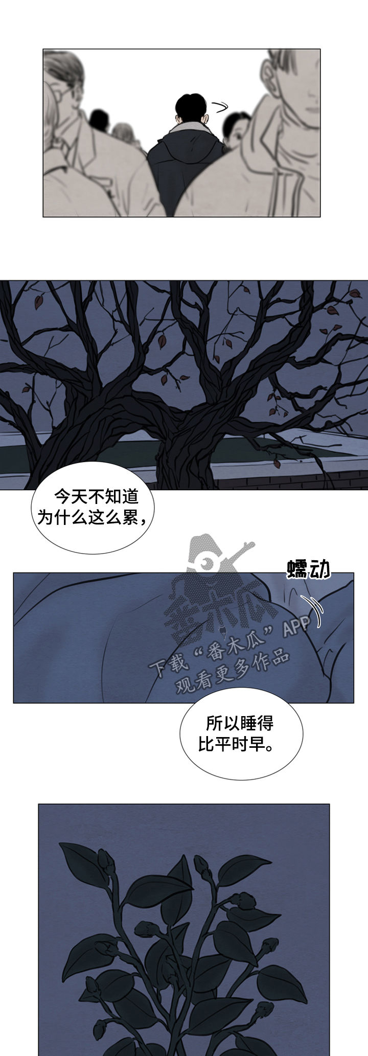 夜惊梦魇漫画,第108章：【第二季】花朵绽放3图