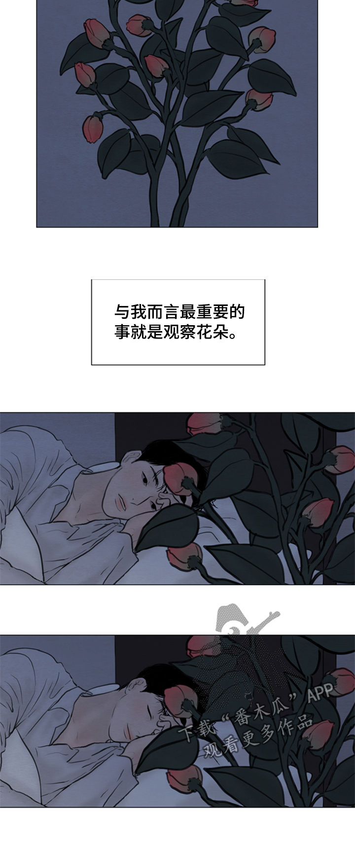 夜惊梦魇漫画,第108章：【第二季】花朵绽放4图