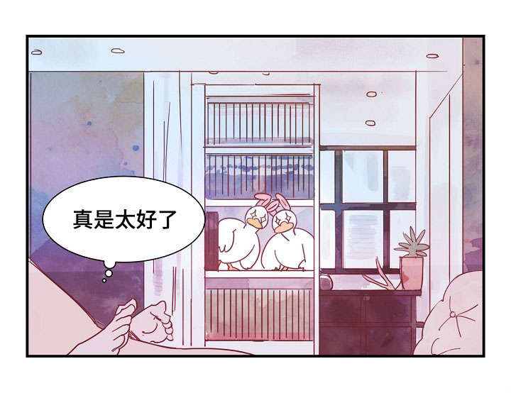 甜心小魔鬼漫画,第31章：清醒5图