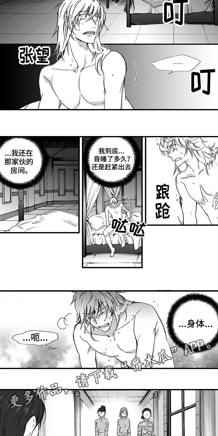 落魄大厨漫画,第8章：骑士团1图