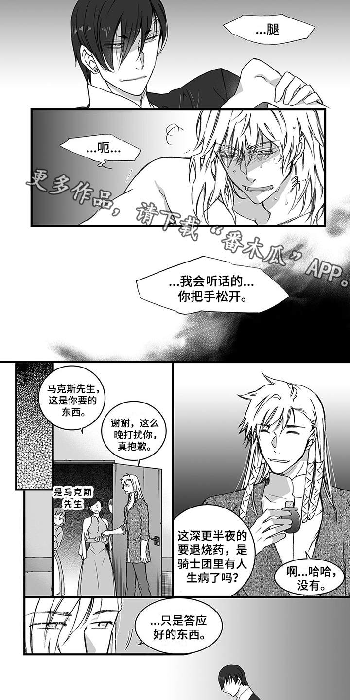 落魄王子的故事漫画,第11章：上药3图