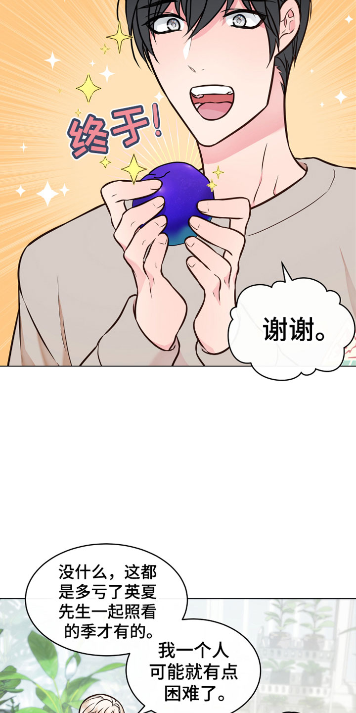 植物与人漫画,第5章：果实2图