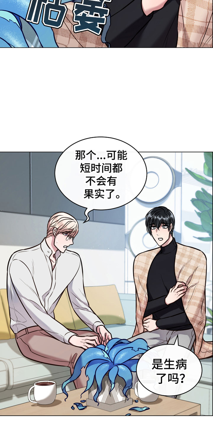 植物与人漫画,第13章：心意5图