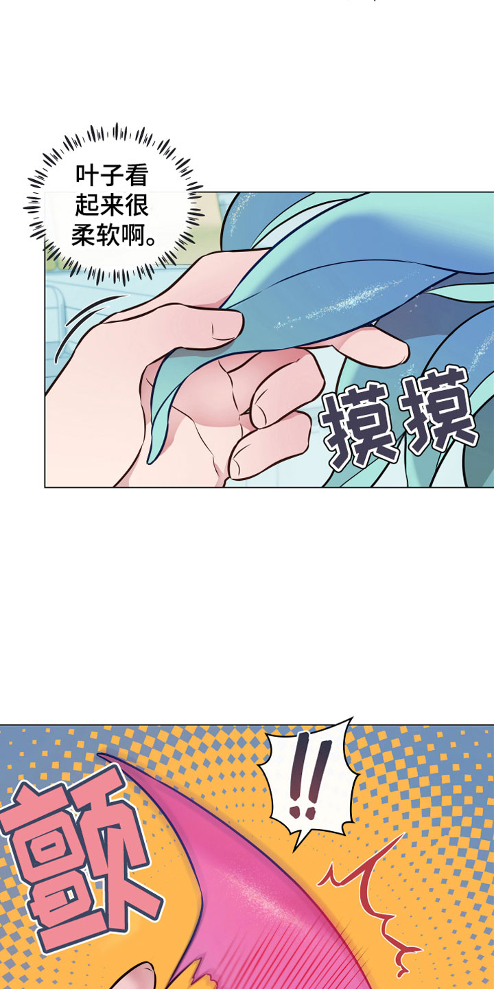 植物与人漫画,第2章：奇异植物4图