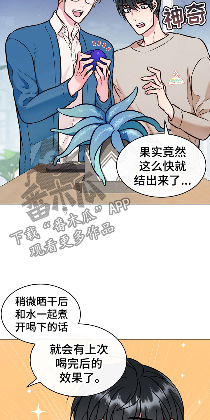 植物与人漫画,第5章：果实1图